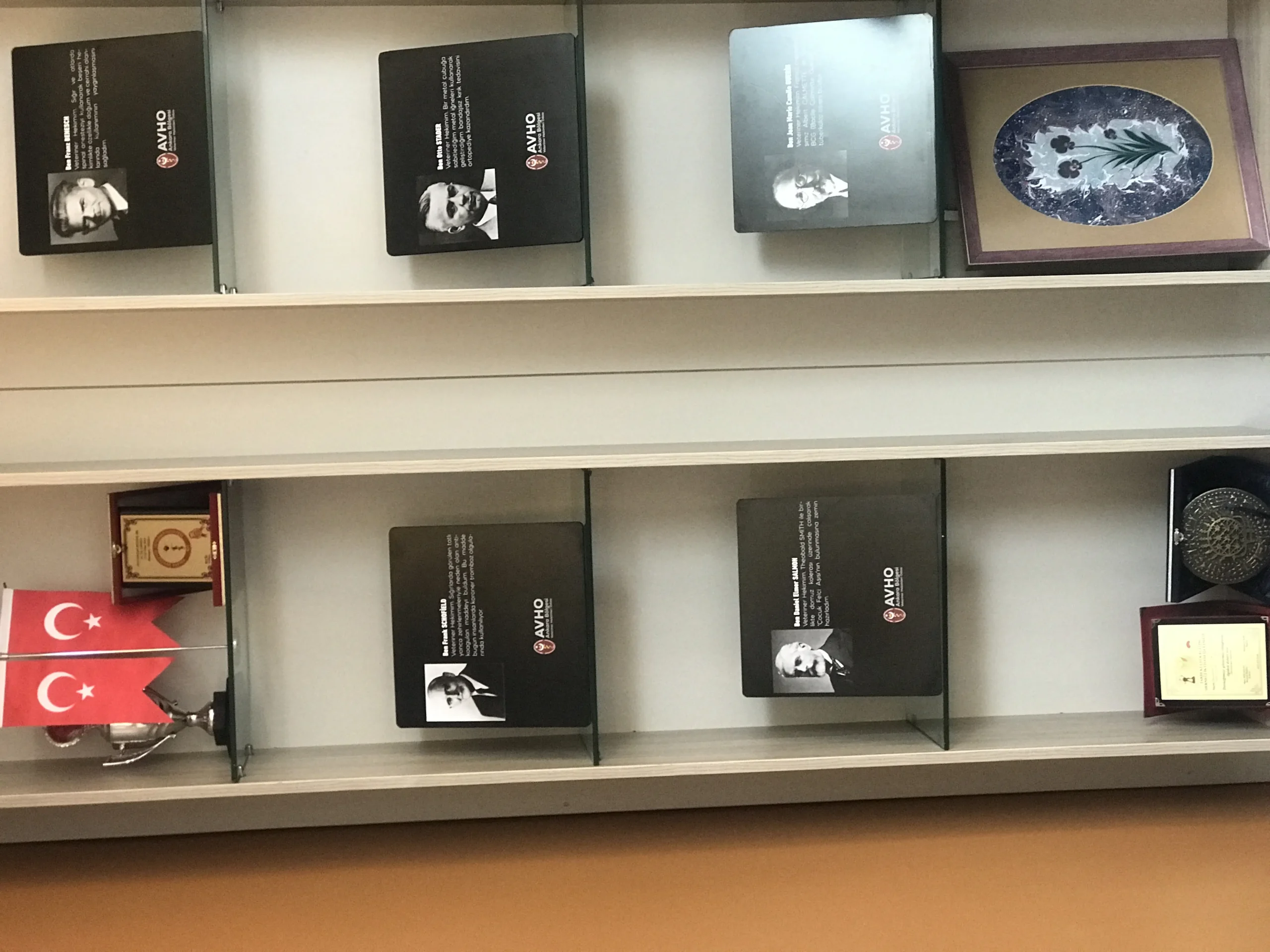 Folyo Baskı ve Giydirme Uygulamaları