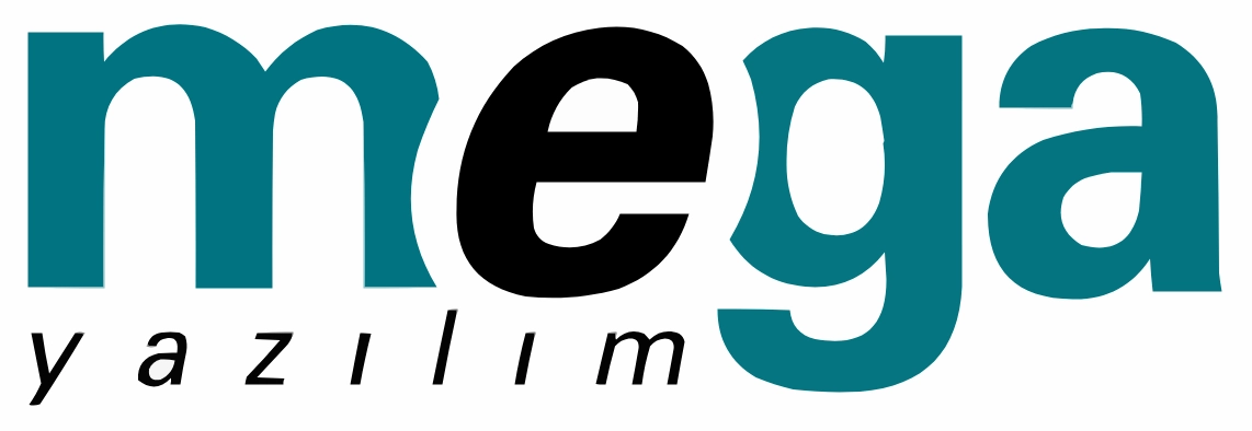 Web Tasarım Ankara Mega Yazılım